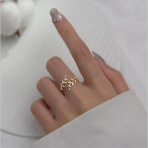 Halo:Branch Ring